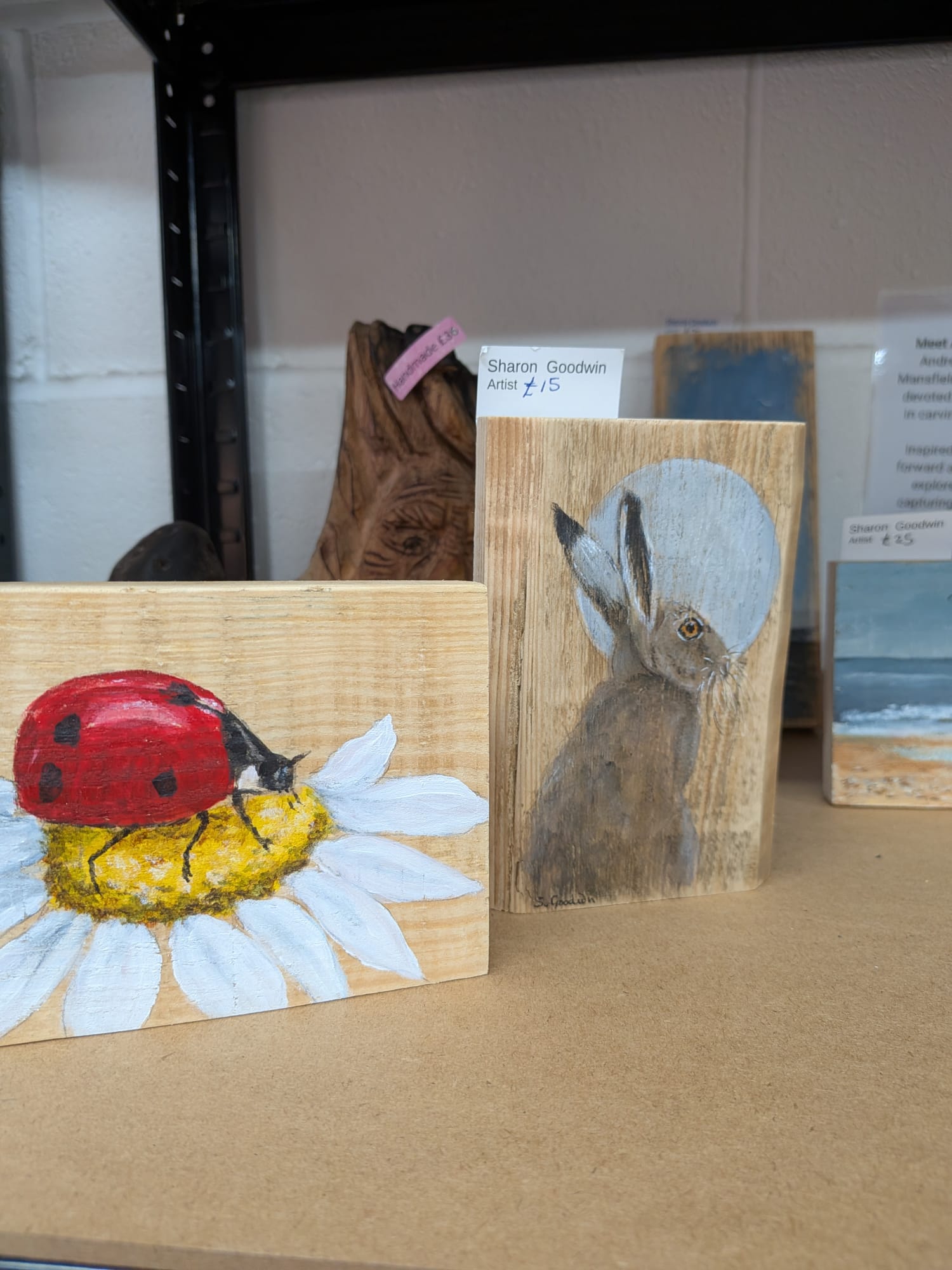 Hand-painted Wooden Blocks